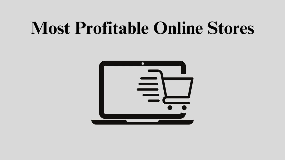 Most Profitable Online Stores featured image